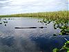     
:  florida everglades3.jpg
: 52
:	330.9 
ID:	35843